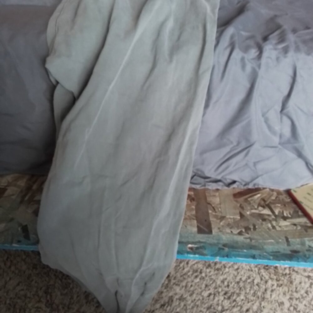 No boundaries dress pants